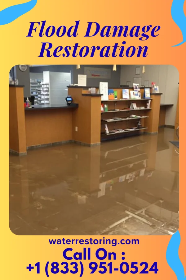 Flood Damage Restoration in Merrydale, LA