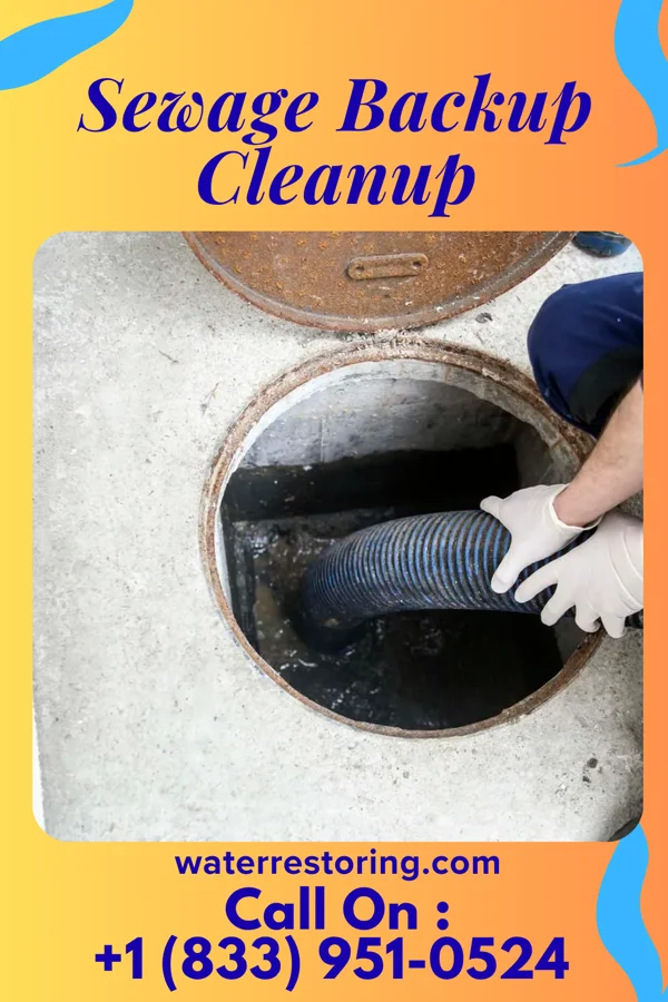 Sewage Backup Cleanup in Merrydale, LA
