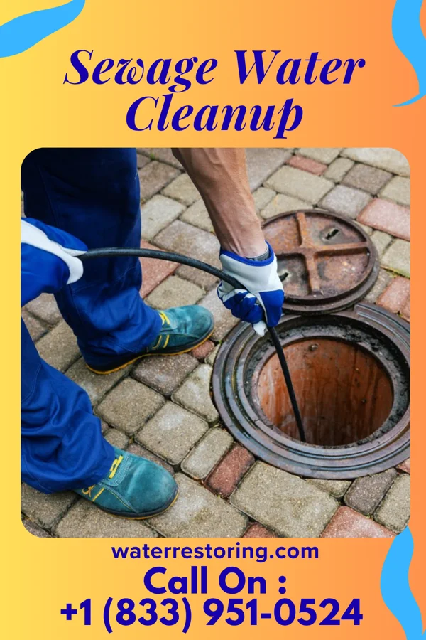 Sewage Water Cleanup in Merrydale, LA