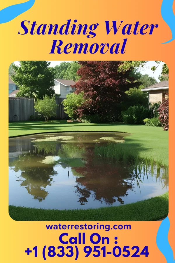 Standing Water Removal in Merrydale, LA